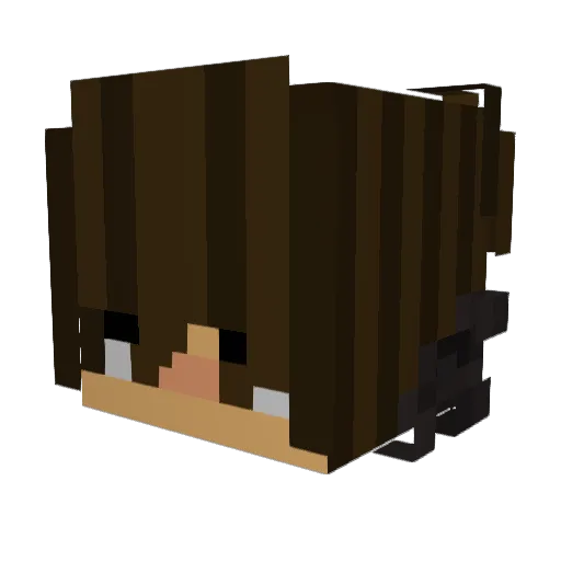 Joel008 Minecraft avatar head, 3D render