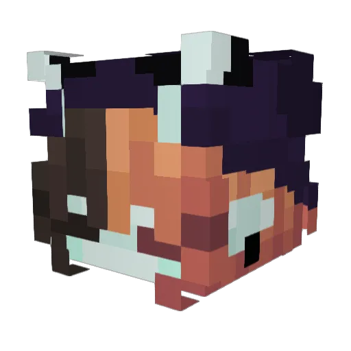 Joel040415 Minecraft avatar head, 3D render
