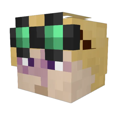 Joel18 Minecraft avatar head, 3D render