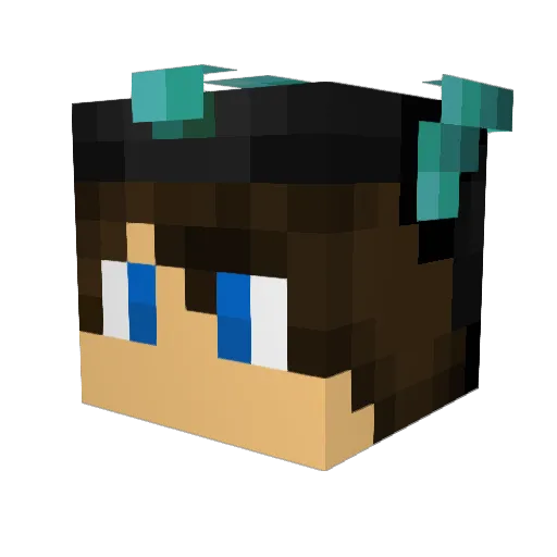 JoelIsB1tchFag Minecraft avatar head, 3D render