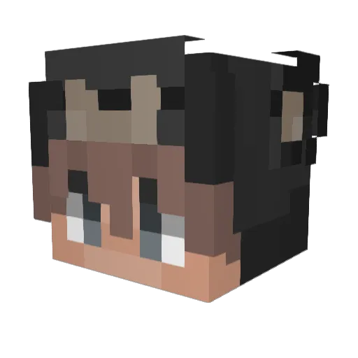 JoelTheKoala Minecraft avatar head, 3D render