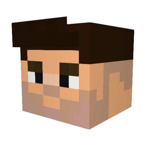 JoelVS2304 Minecraft avatar head, 3D render