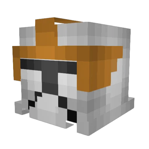 JoelXBP Minecraft avatar head, 3D render
