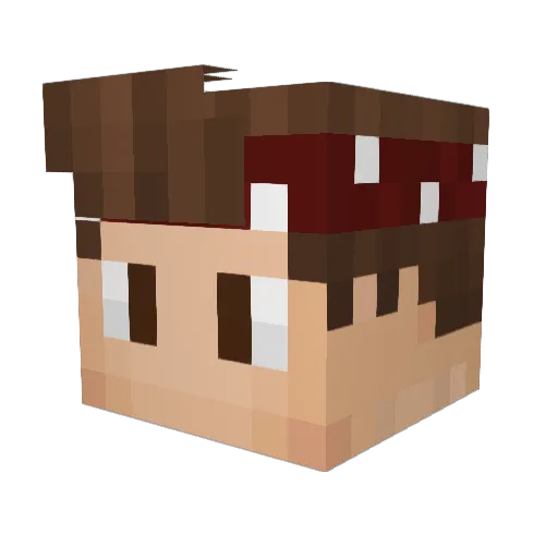 Joel_51 Minecraft avatar head, 3D render