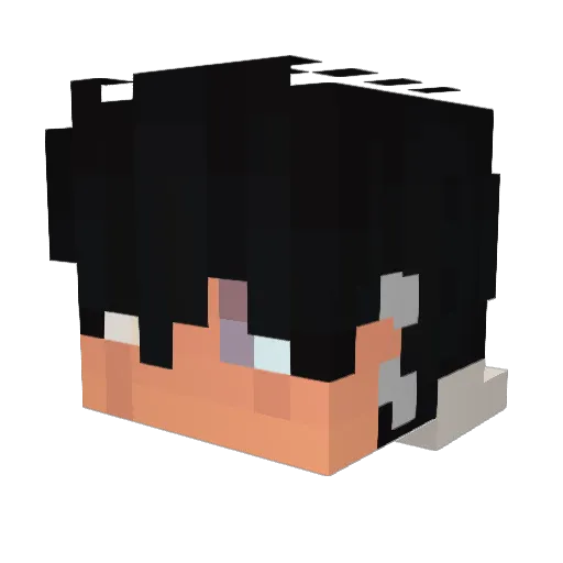 Joel_MC321 Minecraft avatar head, 3D render