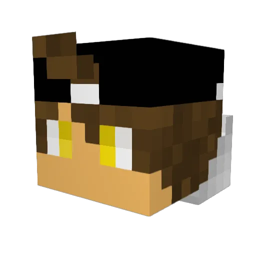 Joem5815 Minecraft avatar head, 3D render