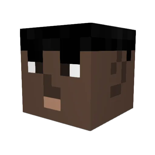 Joemama8455 Minecraft avatar head, 3D render