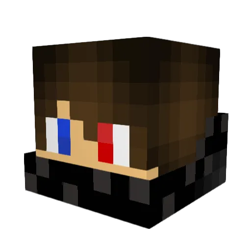 Joepie2007 Minecraft avatar head, 3D render