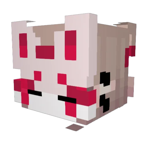 JoesPizzaPlace Minecraft avatar head, 3D render