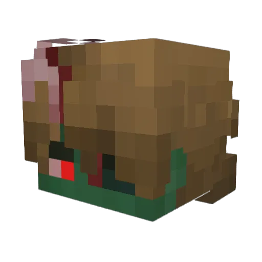 Joesz_ Minecraft avatar head, 3D render