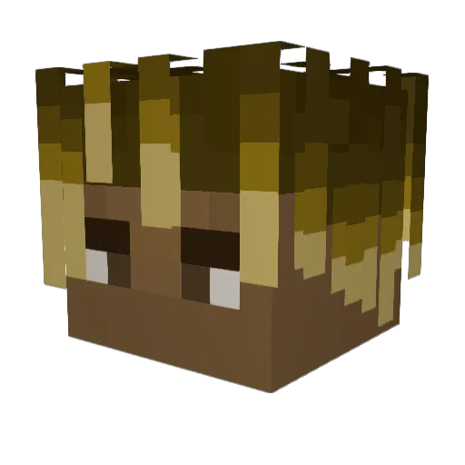 Joetoad Minecraft avatar head, 3D render