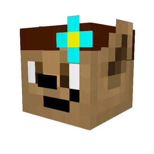 Joevee2431 Minecraft avatar head, 3D render