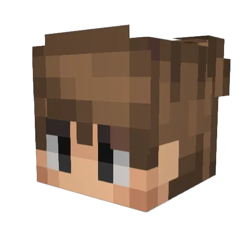 Joey2K3_ Minecraft avatar head, 3D render