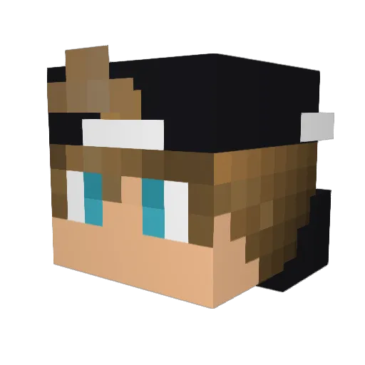JoeyD473 Minecraft avatar head, 3D render