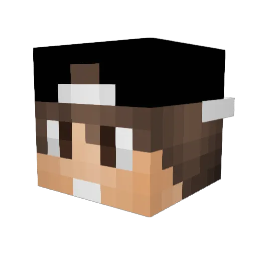 JoeyDaPig Minecraft avatar head, 3D render