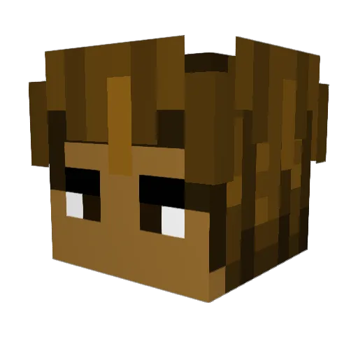 JoeyDus Minecraft avatar head, 3D render