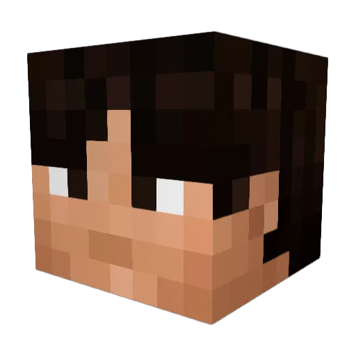 JoeyFr24 Minecraft avatar head, 3D render