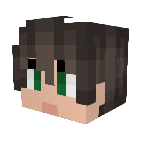 JoeyGaming Minecraft avatar head, 3D render