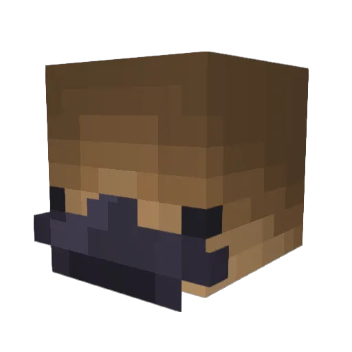 JoeyJKM Minecraft avatar head, 3D render