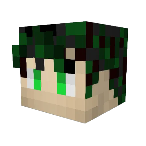 JoeyPro98 Minecraft avatar head, 3D render