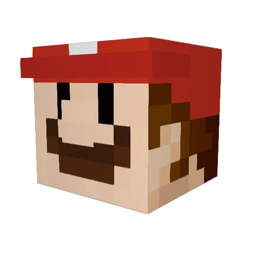 JoeyTDog007 Minecraft avatar head, 3D render