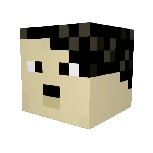 Joey_B30 Minecraft avatar head, 3D render