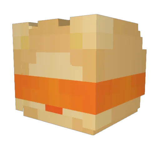 Joey_Boy531 Minecraft avatar head, 3D render