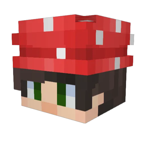 Joey_Ross Minecraft avatar head, 3D render