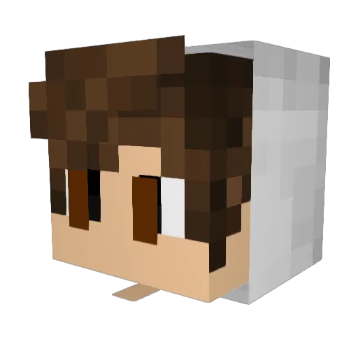 Joey_kkfe1 Minecraft avatar head, 3D render