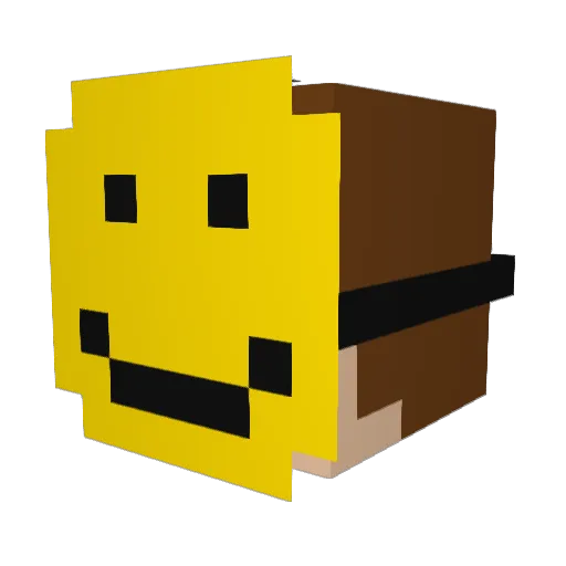 Joeybeans Minecraft avatar head, 3D render
