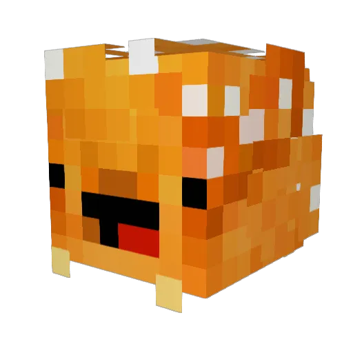 Joeycookson Minecraft avatar head, 3D render