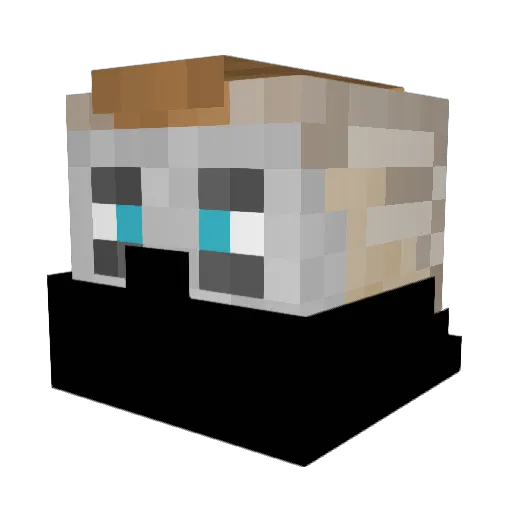 Joeylmao Minecraft avatar head, 3D render