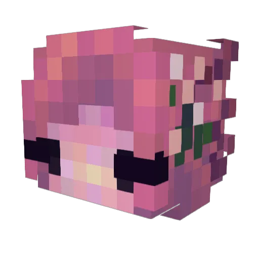 Joeysbug Minecraft avatar head, 3D render