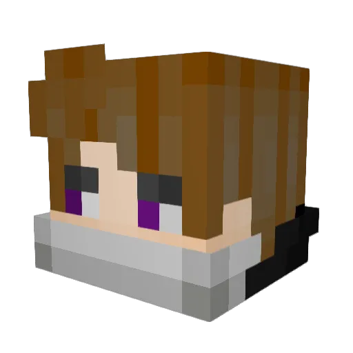 Joeyson12358 Minecraft avatar head, 3D render