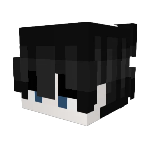 Joeyzoom123 Minecraft avatar head, 3D render