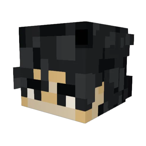 Joezilla12345 Minecraft avatar head, 3D render