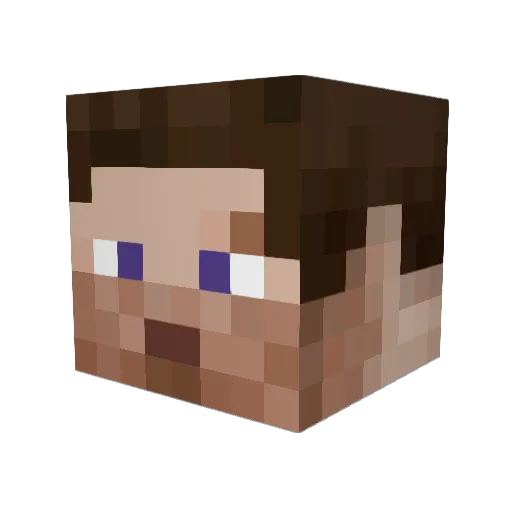 Jofishwa Minecraft avatar head, 3D render