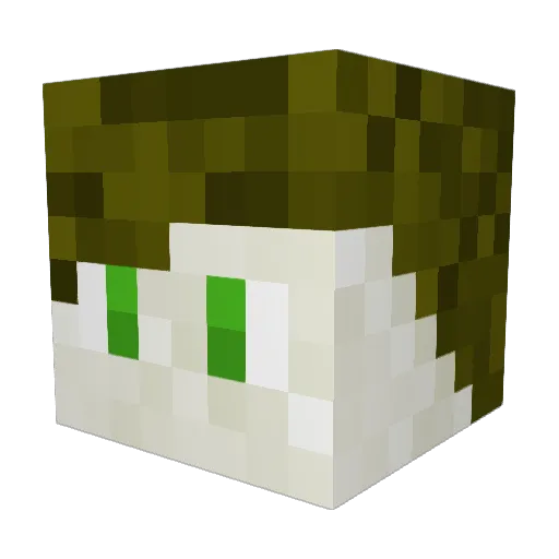 Jofisnoir Minecraft avatar head, 3D render