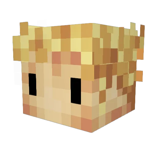 Jofraise Minecraft avatar head, 3D render