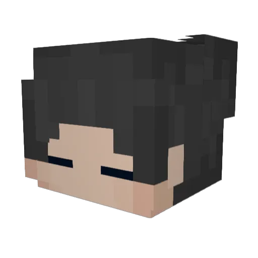 JogiPlayz Minecraft avatar head, 3D render