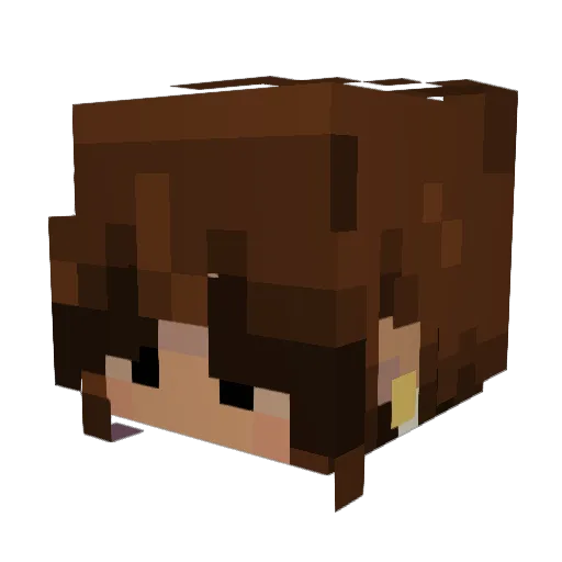 Jogirl64 Minecraft avatar head, 3D render