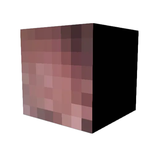 JohNYSEENS Minecraft avatar head, 3D render