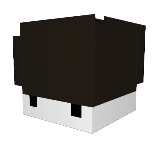 Johakim37 Minecraft avatar head, 3D render