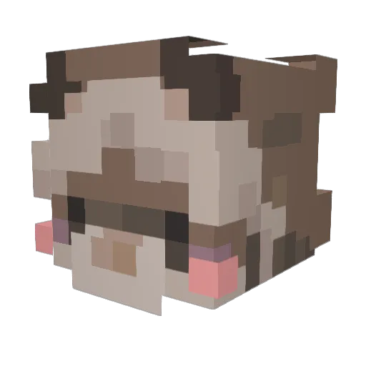 JohanWolf_ Minecraft avatar head, 3D render