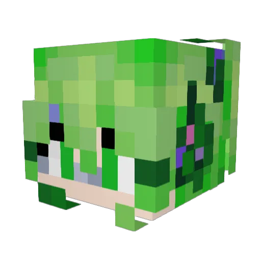 JohannOGG Minecraft avatar head, 3D render
