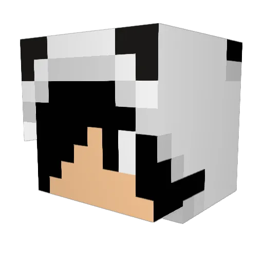 JohannesHoon Minecraft avatar head, 3D render