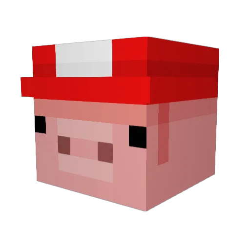 JohannesRG Minecraft avatar head, 3D render