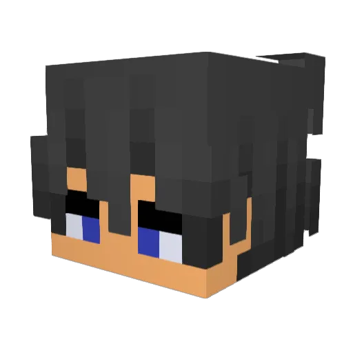 Johannii_ Minecraft avatar head, 3D render