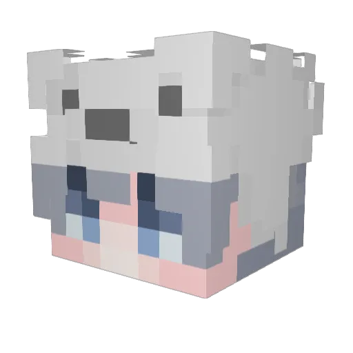 Johhn_ Minecraft avatar head, 3D render