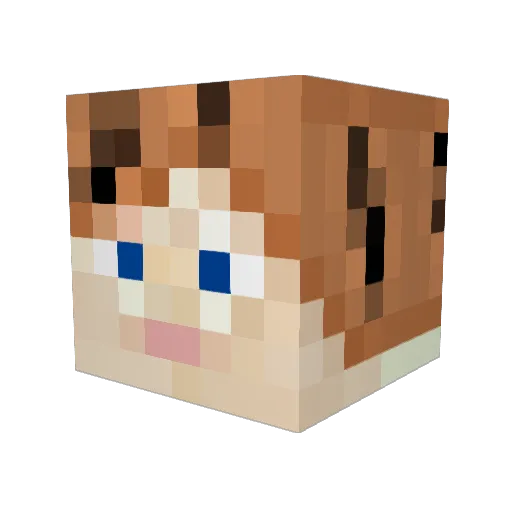 JohnBoat90 Minecraft avatar head, 3D render